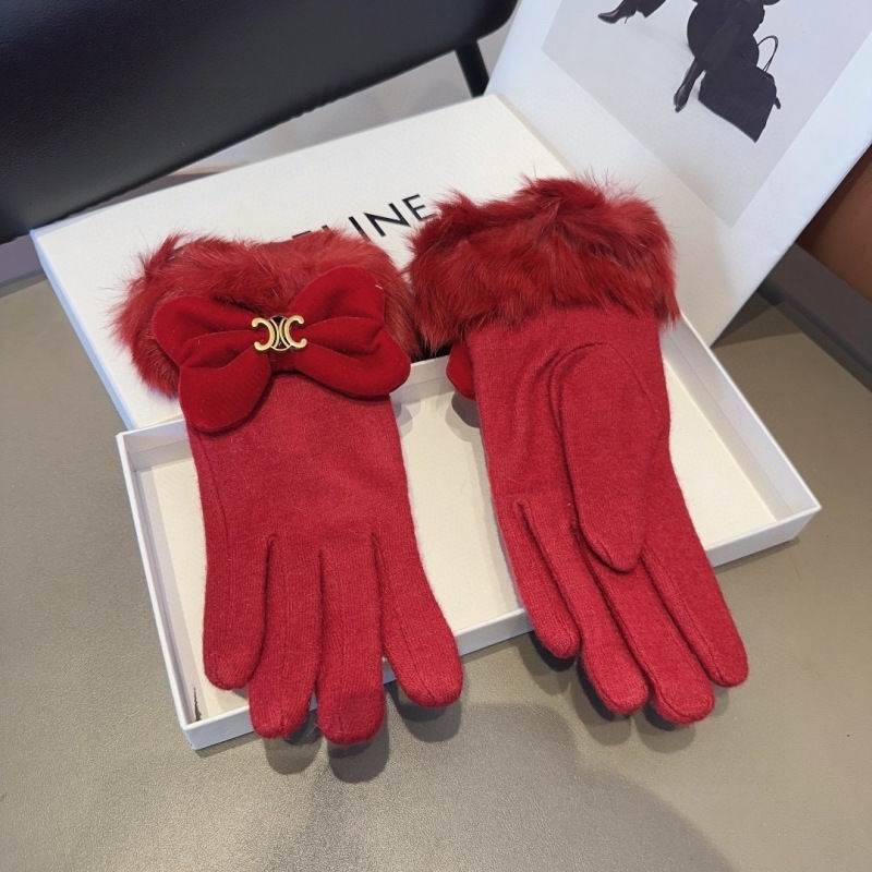 Celine gloves hm